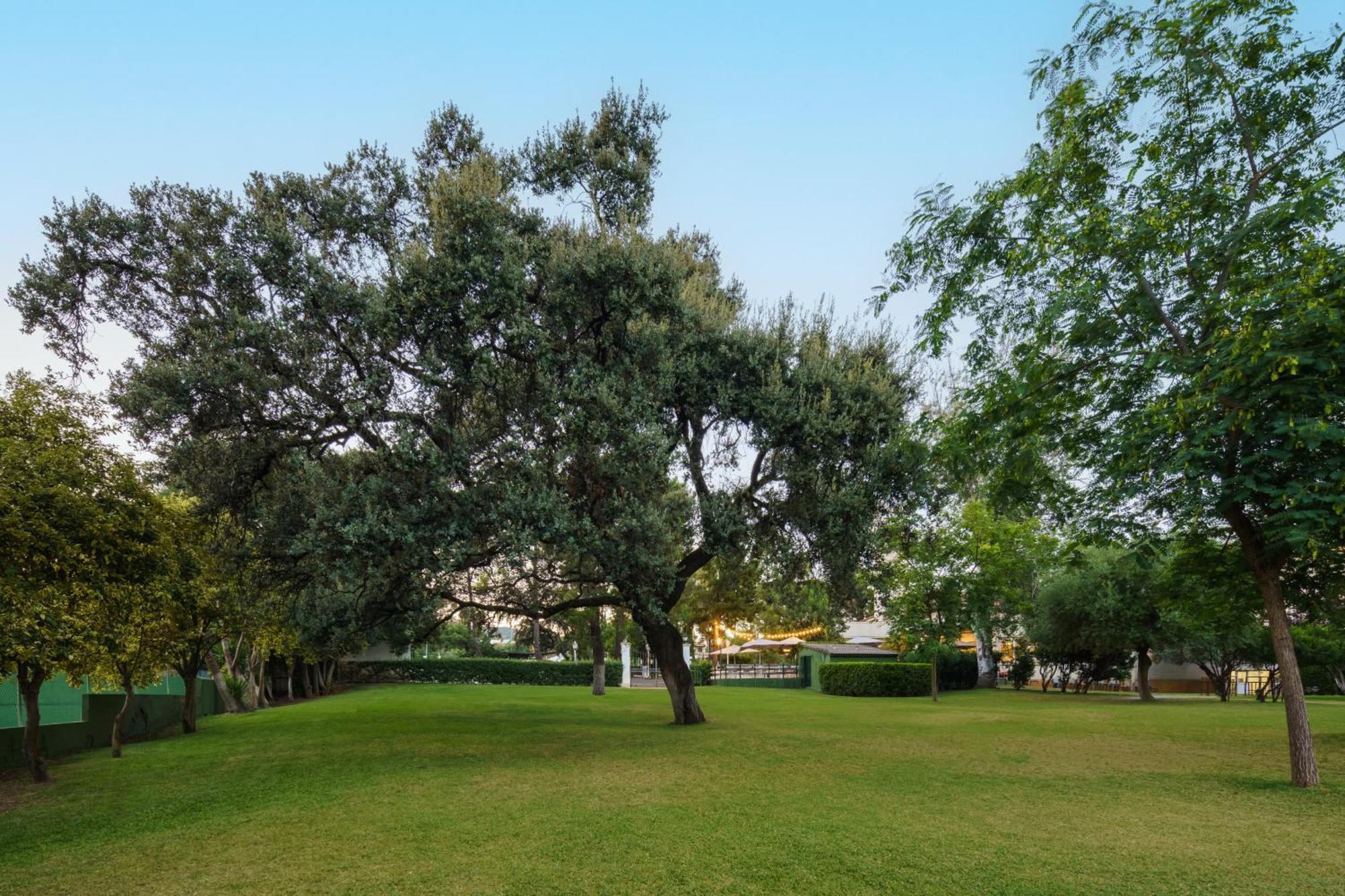 Crisol Jardines De Cordoba Hotel Exterior photo